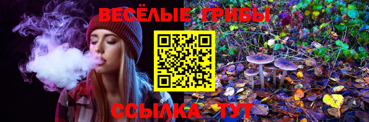 Псилоцибиновые грибы прущие грибы Заволжье